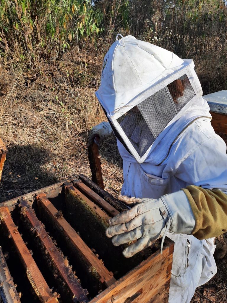 Apoya GEM a Apicultores con Equipo y Colmenas Para Incentivar Esta Actividad